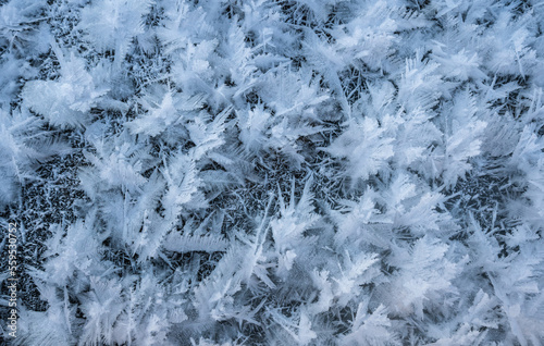 Natural background of three-dimensional frost patterns. Beautiful ice crystals in the form of feathers and down during frosts. snow crystals close-up © Игорь Кляхин