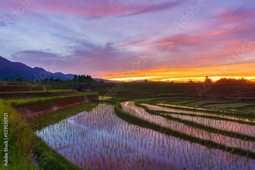 Asian landscape at sunrise over mountains and rice fields