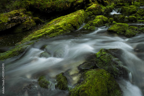 Schwarzwasserbach im Kleinwalsertal bei der Ortschaft Riezlern.