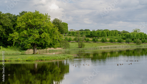 Photography Nature. Lake and park. Denmark. Copenhagen.