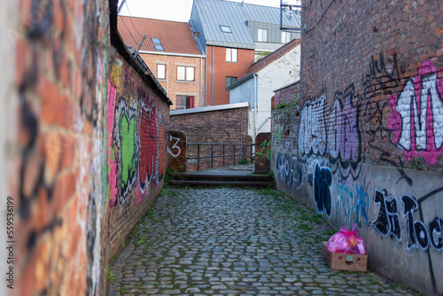 Calle de ladrillos con grafitis