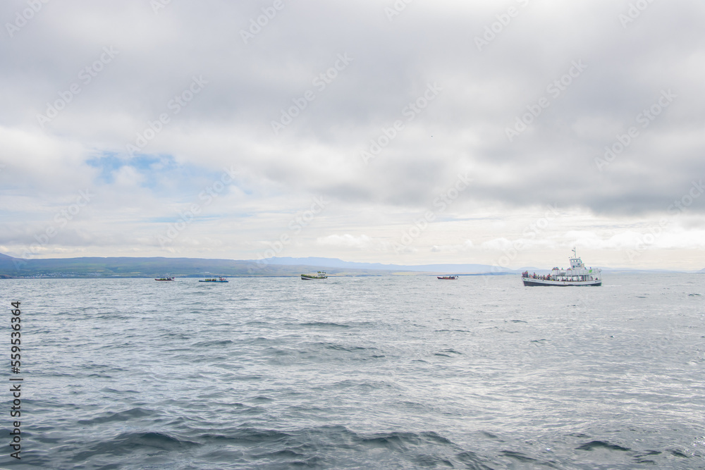 Whale Watching the Atlantic Ocean of Husavik, Iceland Whale Watching the Atlantic Ocean of Husavik, Iceland