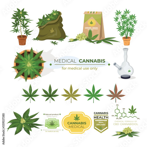 Set of Medical Cannabis elements for smoking marijuana leaves of weed hemp. Vector drawing of cannabis natural farm bong joint. Illustrations for poster sticker patch logo print t-shirt. 
