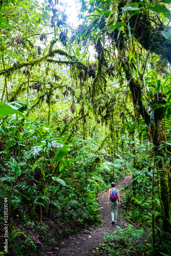 backpacker girl walks through dense jungle in monteverde cloud forest, Costa Rica; walk through fairy tale, magical tropical rainforest; wild nature of Costa Rica