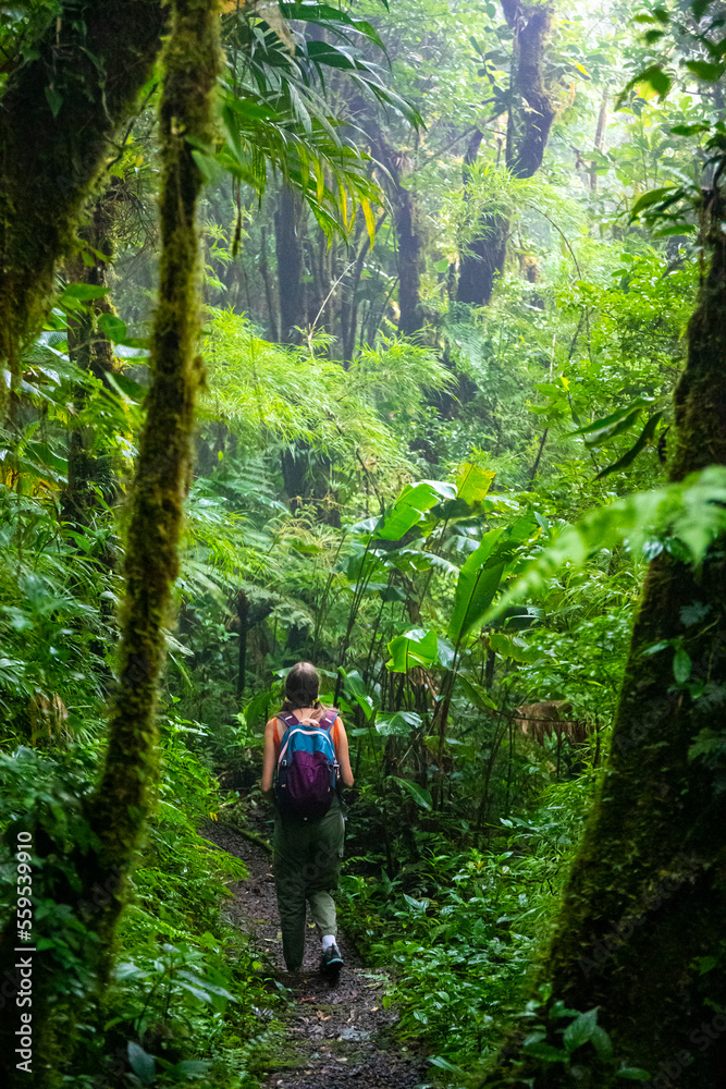 backpacker girl walks through dense jungle in monteverde cloud forest, Costa Rica; walk through fairy tale, magical tropical rainforest; wild nature of Costa Rica
