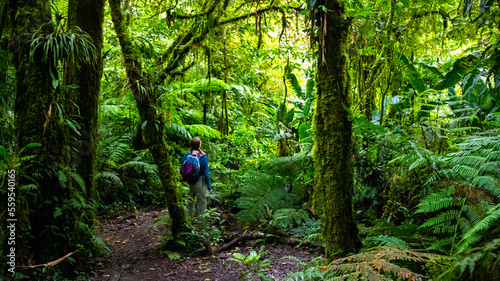 backpacker girl walks through dense jungle in monteverde cloud forest, Costa Rica; walk through fairy tale, magical tropical rainforest; wild nature of Costa Rica