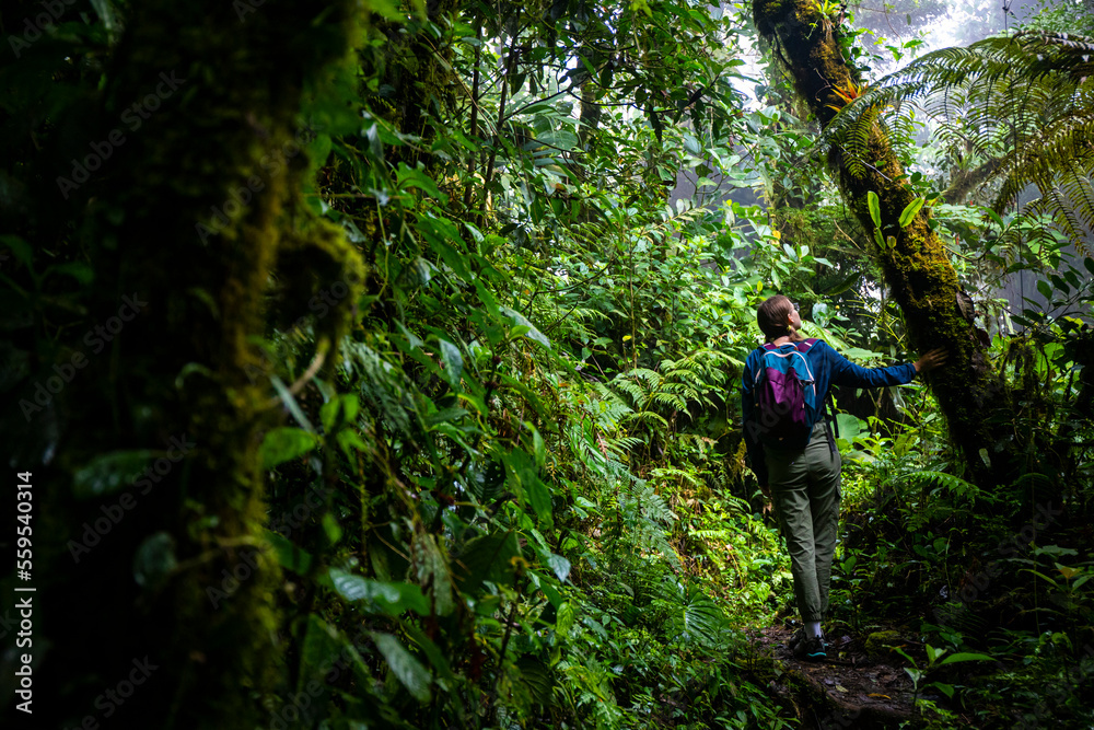 backpacker girl walks through dense jungle in monteverde cloud forest, Costa Rica; walk through fairy tale, magical tropical rainforest; wild nature of Costa Rica