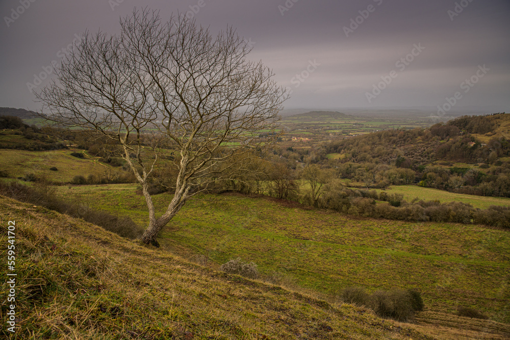 Birdlip Viewpoint, Gloucestershire