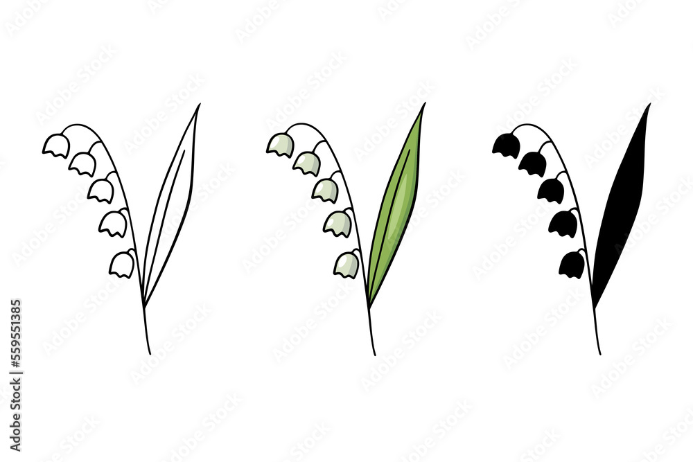 Set of lilies of the valley color image, contour, silhouette. Isolated