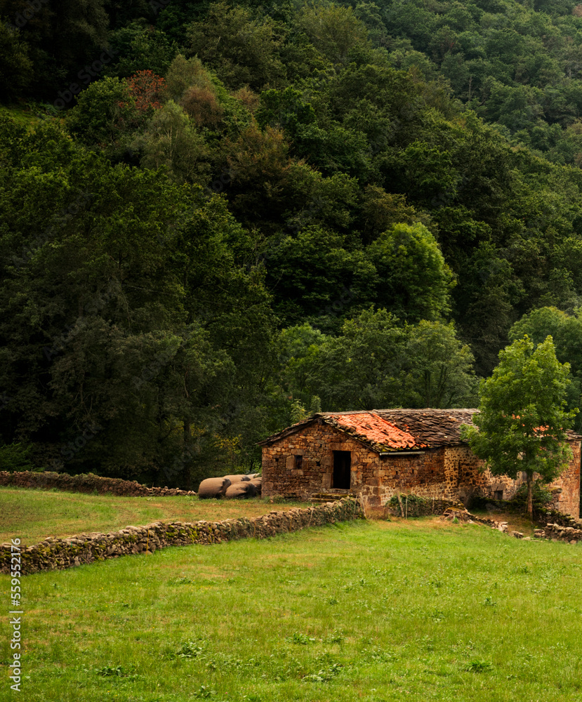 Cottage in Valle del Pas, Cantabria, Spain