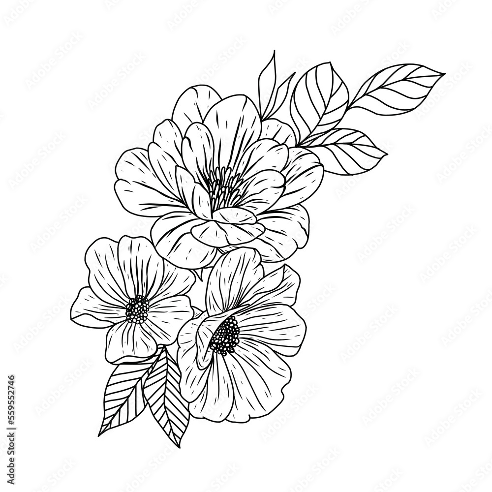 Hand drawn flower illustration. Black and white with line art on a ...