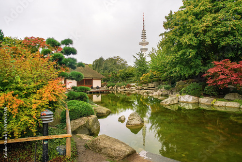 View of Japanese garden in Hamburh  ( in garden  Planten un Blomen)