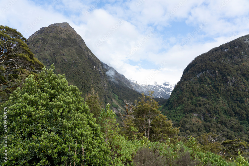 Monkey Creek, Hollyford Valley, New Zealand Monkey Creek, Hollyford Valley, New Zealand
