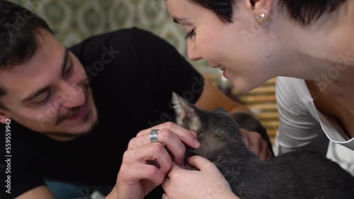 Young couple is playing with their cat on the bed. Beautiful couple caress the fluffy gray cat.
