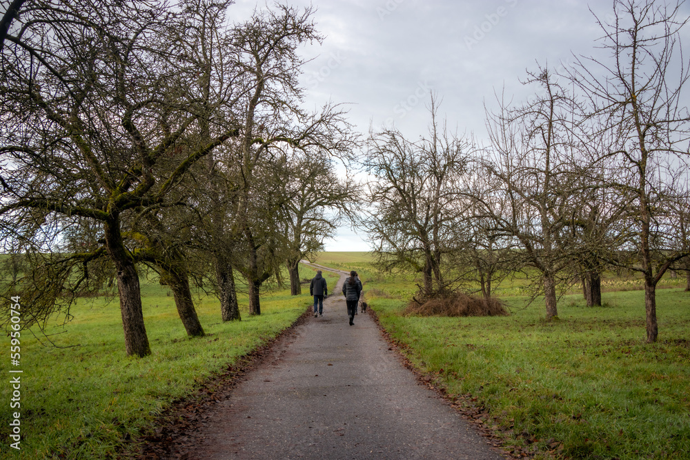 Two persons walking on a rural road in Southern Germany. Trees at country-side road. Winter walk.