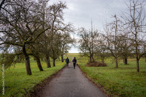 Two persons walking on a rural road in Southern Germany. Trees at country-side road. Winter walk.