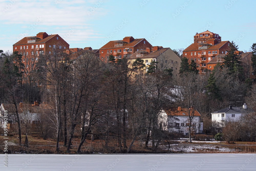 town in winter