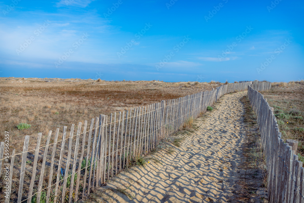 Préservation du littoral et des dunes de la Plage du Lido de Canet-en-Roussillon