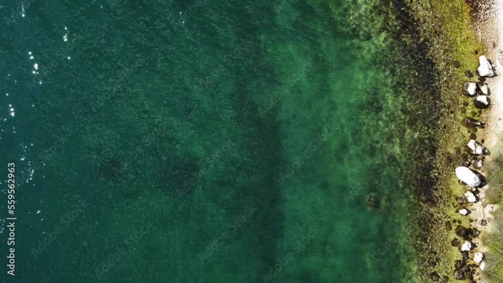 Aerial view of transparent sea water near stony remote coast with green algae. Seabed covered with transparent turquoise water near wild rocky beach with vegetation ledges and cliffs. Summer season Aerial view of transparent sea water near stony remote coast with green algae. Seabed covered with transparent turquoise water near wild rocky beach with vegetation ledges and cliffs. Summer season