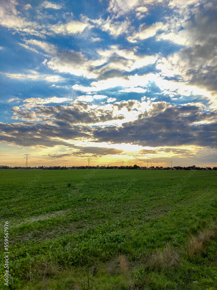 sunset over field