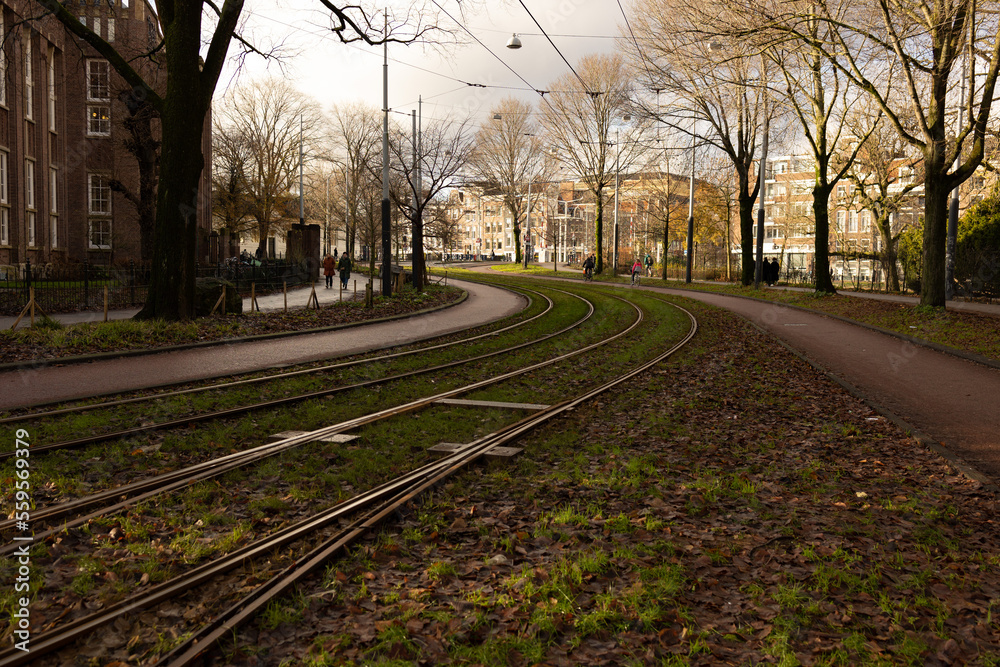 Fototapeta premium Wertheimpark in Amsterdam. Bikers in park. Beautiful view.