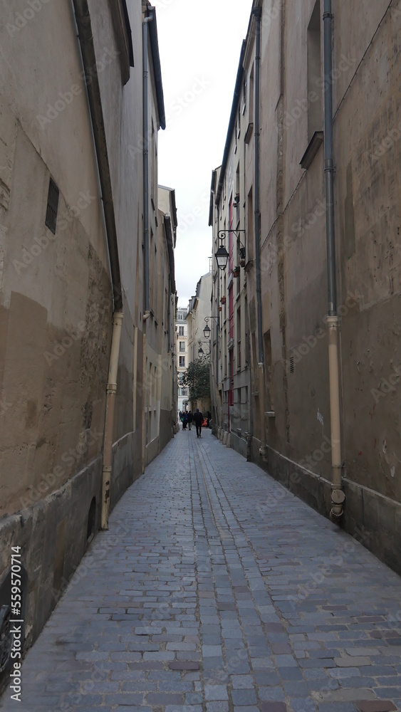 Une rue entre des immeubles historiques et anciens, dans un quartier latin de Paris, peu de passants, artisanale, ancienne ville, vide, peu de voitures