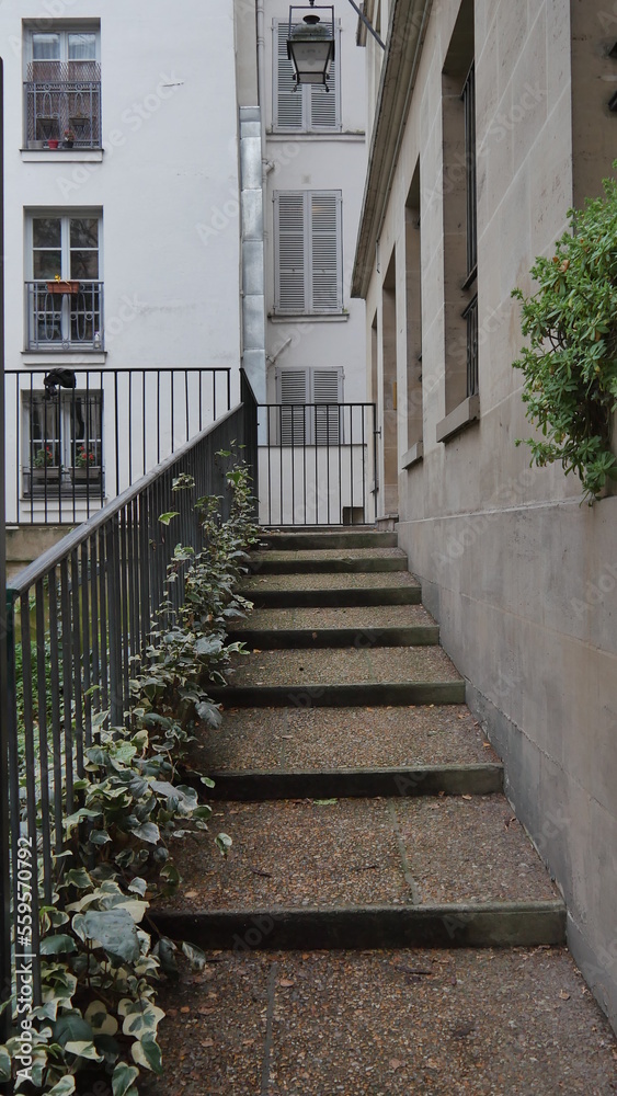 Une rampe d'escalier en pierre d'une entrée de bâtiment, avec des lierres sur les grilles, un peu de végétation naturelle autour et des bâtiments au fond