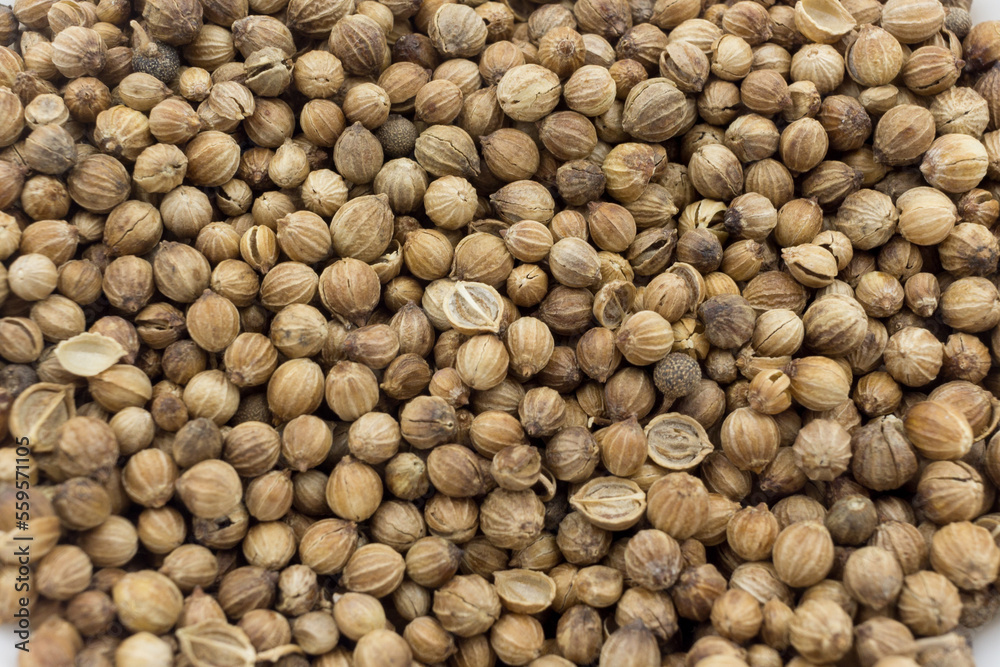 Pile of Coriander seeds closeup. Food background
