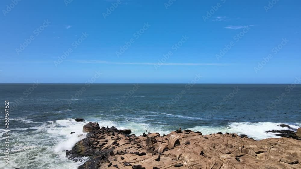 Risco de rocas y playa chocando con grandes olas en donde se encuentran lobos marinos Risco de rocas y playa chocando con grandes olas en donde se encuentran lobos marinos