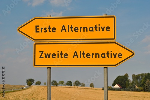 Obraz na płótnie Erste Alternative, zweite Alternative w salonie