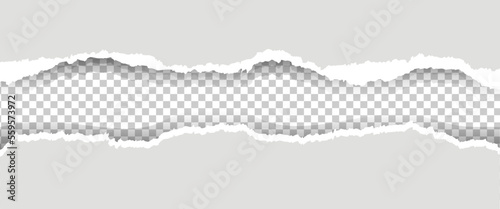 Ripped Paper