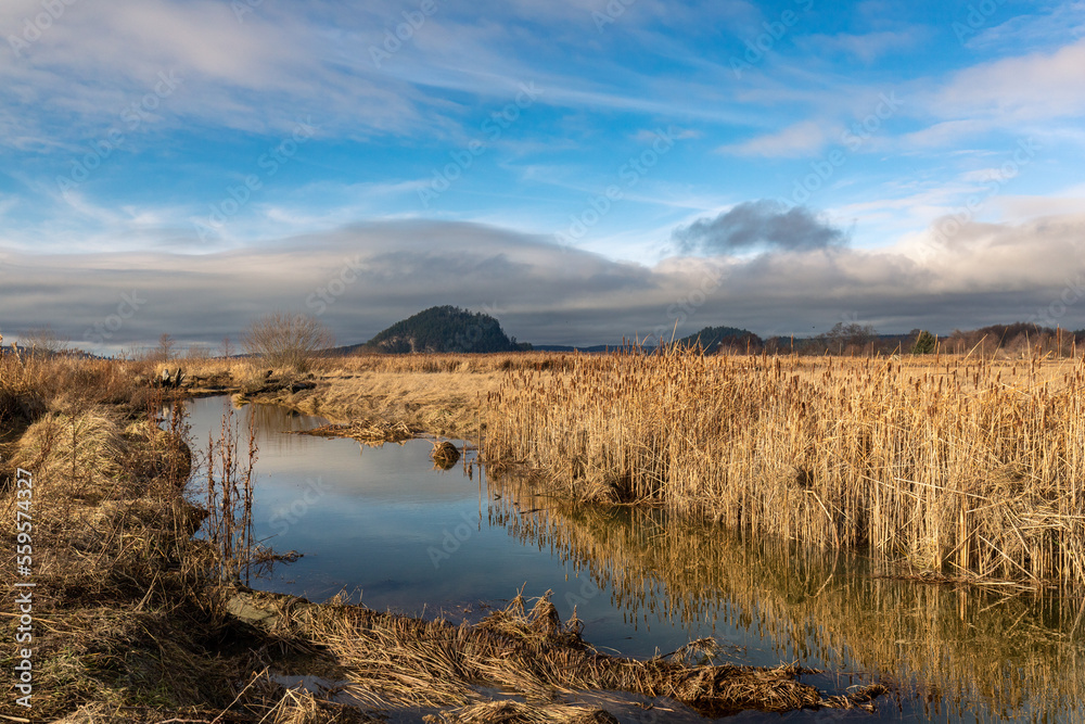 Skagit Bay Estuary