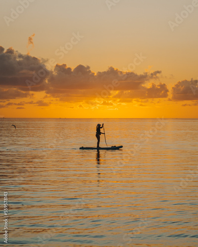 Silhouette of young lady paddle boarding during sunrise.