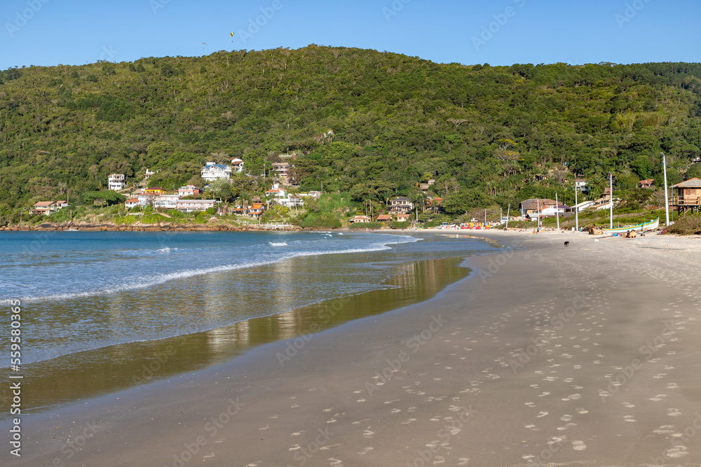 Houses, waves and vegetation at Ponta das Canas beach