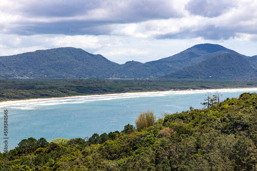 Mocambique beach with forest and mountains
