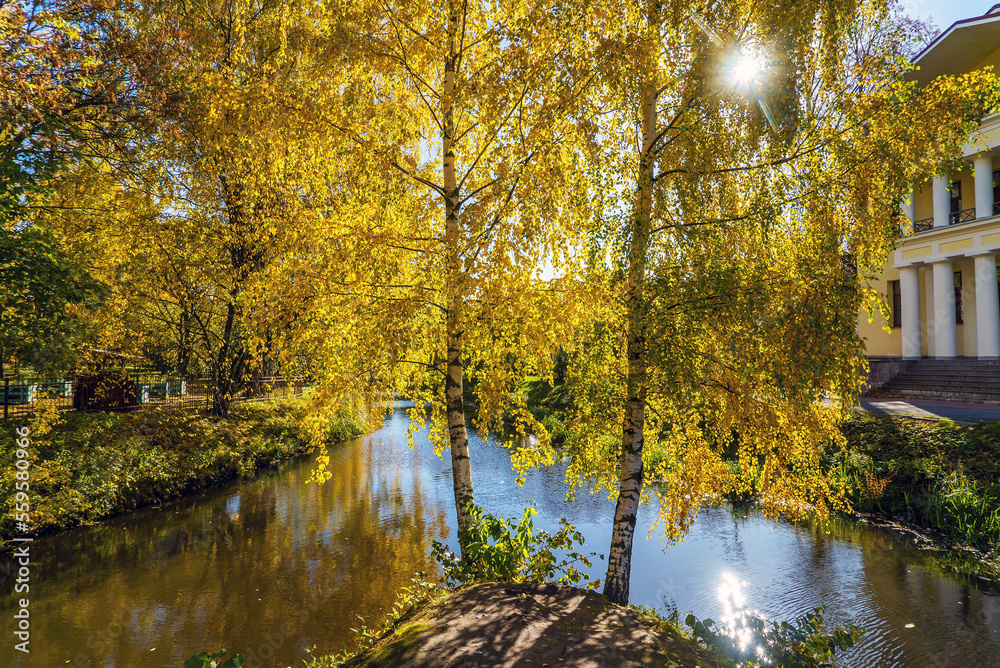 Seaside Park in St. Petersburg in autumn. Krestovsky Island. Seaside Park in St. Petersburg in autumn. Krestovsky Island.