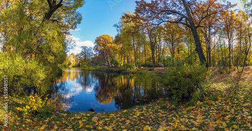 Fototapeta Naklejka Na Ścianę i Meble -  Pond on Elagin Island in St. Petersburg in autumn . Panorama.