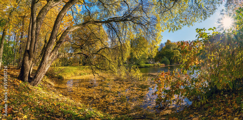 Pond on Elagin Island in St. Petersburg in autumn . Panorama.