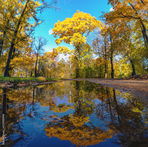 Reflection in the water on Elagin Island in St. Petersburg in autumn .
