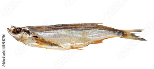 Dried fish Chekhon. Isolated object on a transparent background. Snack for beer. Element for design and layout photo