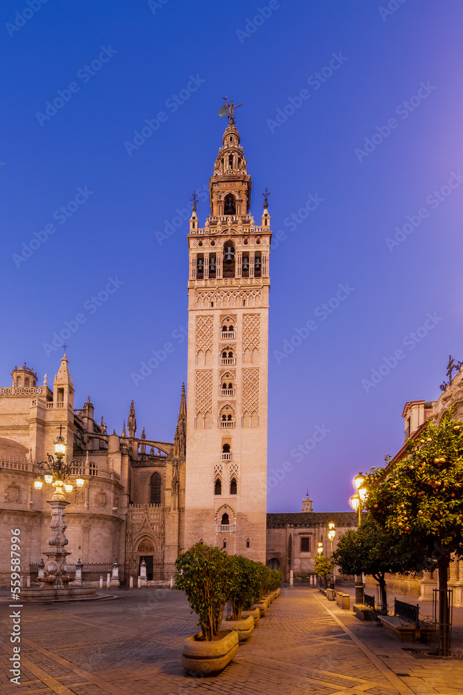 The tower of the Giralda Cathedral in the city centre of the Seville during blue hour and sunrise, with the iconic orange fruit trees and the awesome ornaments on the facade of the church.