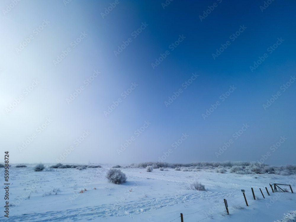 winter fog over prairie field