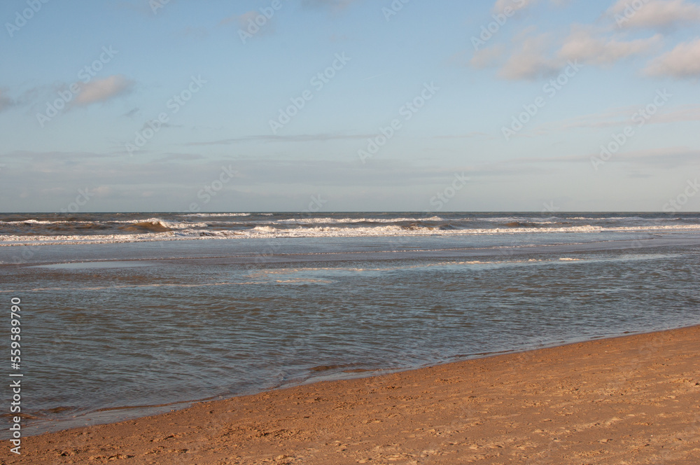 Shore of the northern sea on a sunny day in winter.,beach and sea
