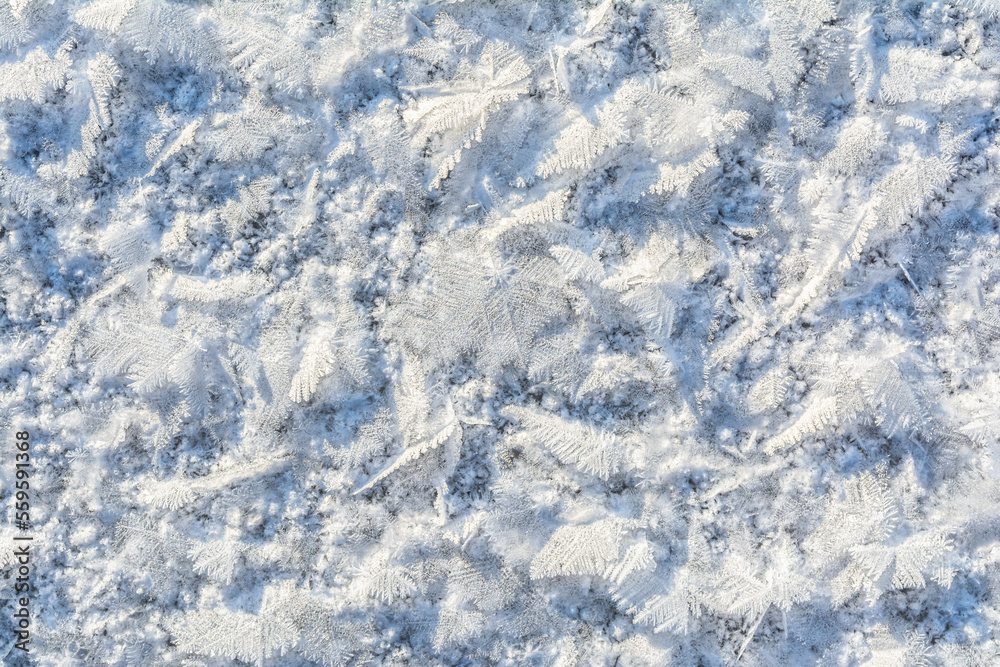 Beautiful lush sparkling snow crystals in the form of snowflakes and feathers with an unusual pattern. Winter abstract background