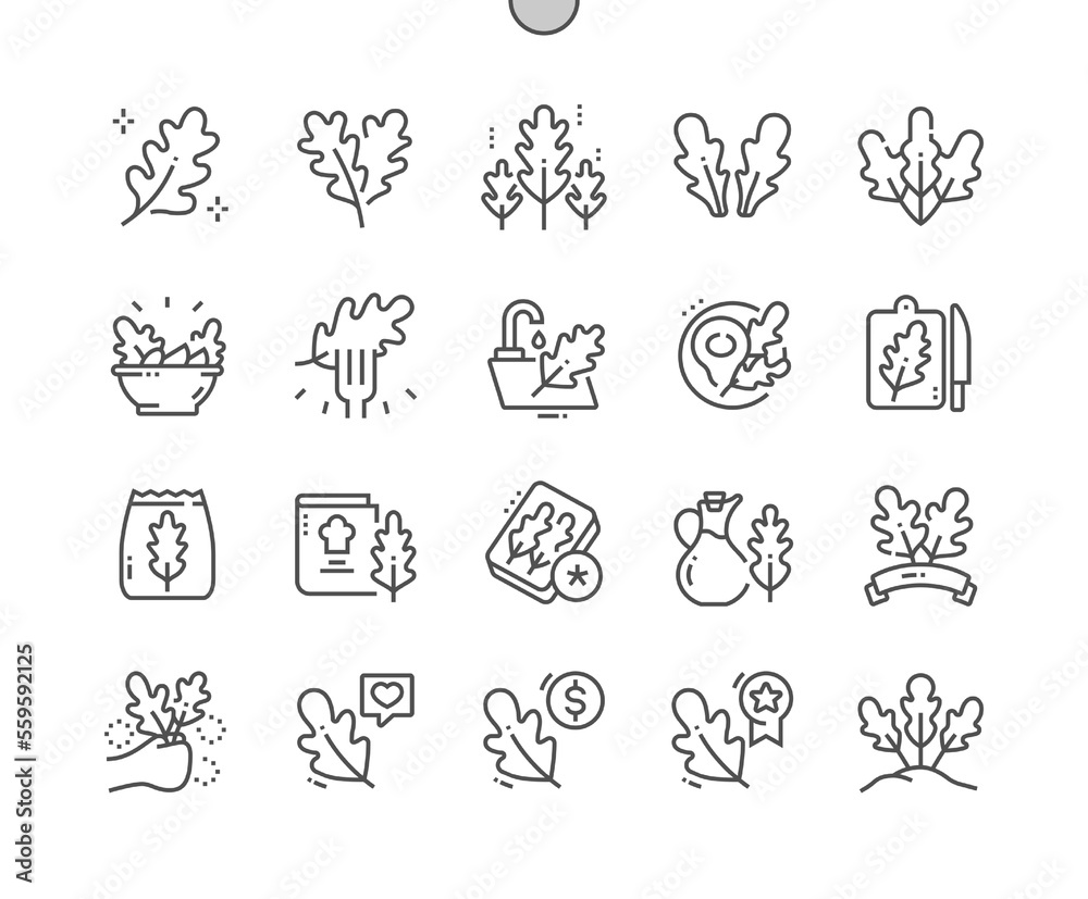 Fototapeta premium Arugula leaf. Nature vegetable organic food nutrition. Cooking, recipes and price. Pixel Perfect Vector Thin Line Icons. Simple Minimal Pictogram