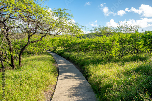 View of the hiking path inside the Diamond Head crater at Diamond Head State Monument.