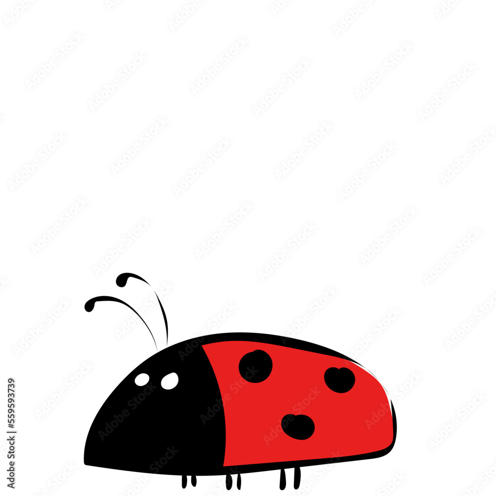 Obraz premium Marienkäfer