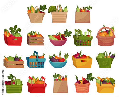 Vegetables Basket, Bag and Crate Full of Harvested Crop Big Vector Set