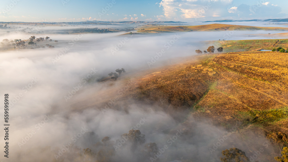 Fog and fields