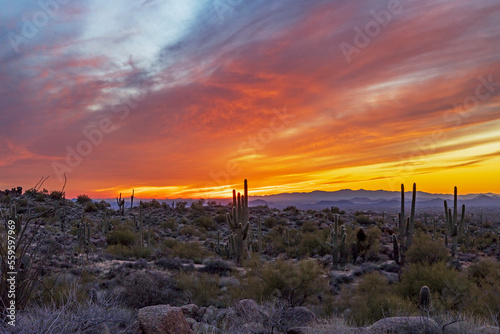 Panoramic Desert Sunset Landscape View Scottsdale AZ © Ray Redstone